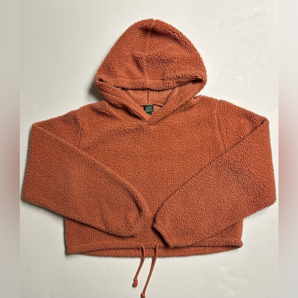 Wild Fable cropped hoodie